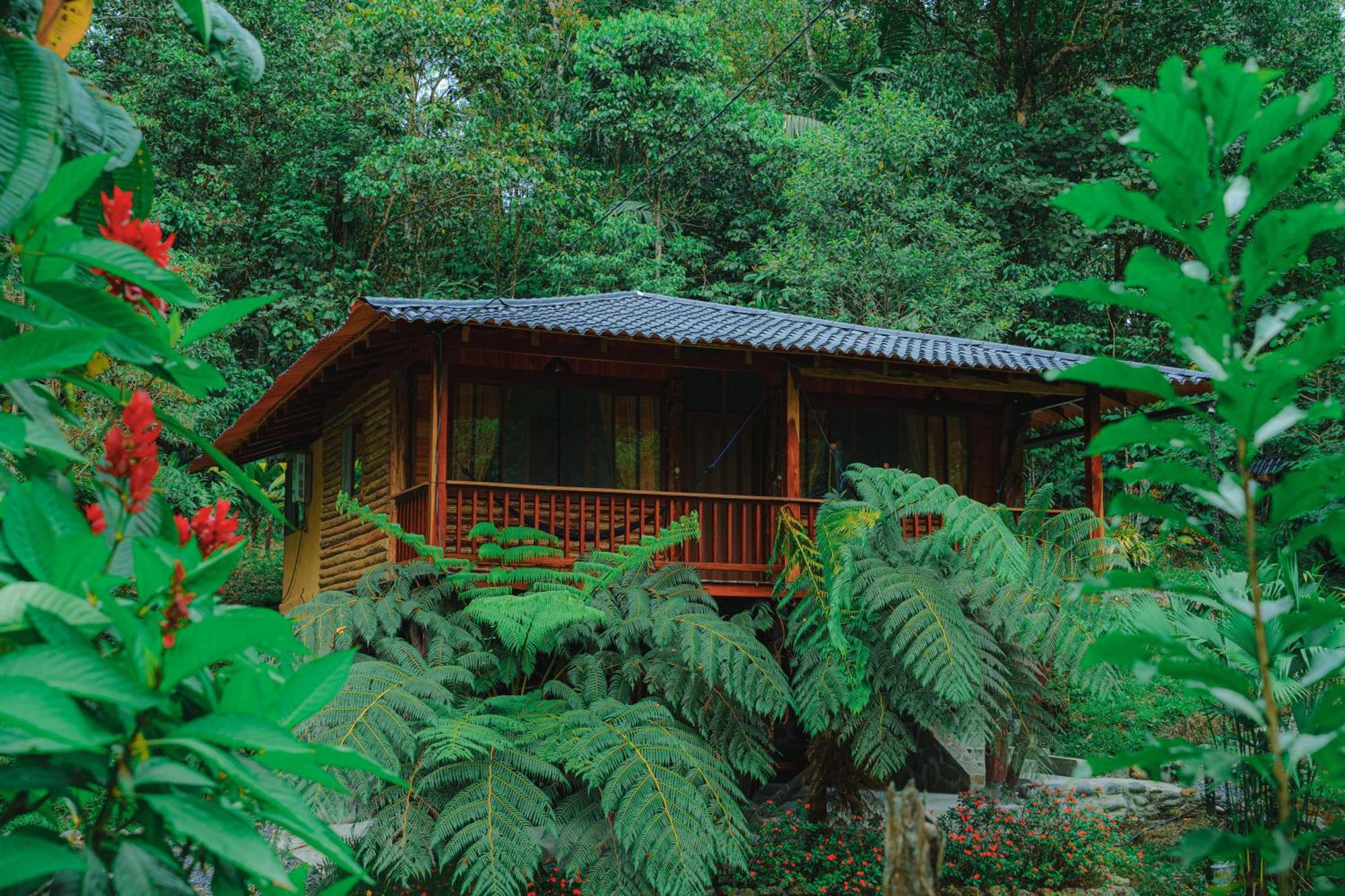 Finca Las Palmas Ecolodge Puyo Exterior foto