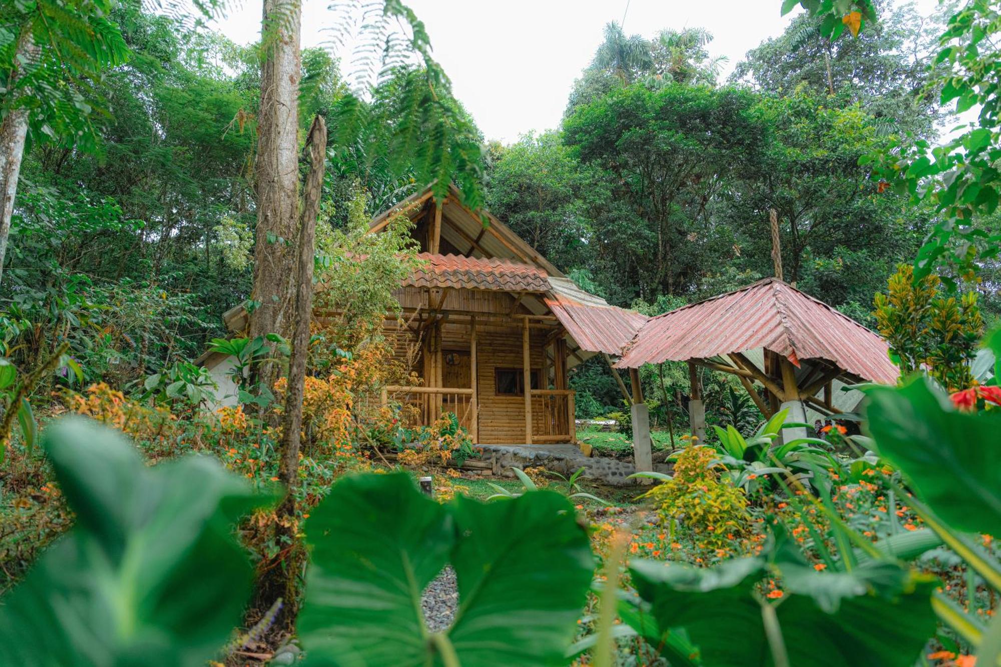Finca Las Palmas Ecolodge Puyo Exterior foto