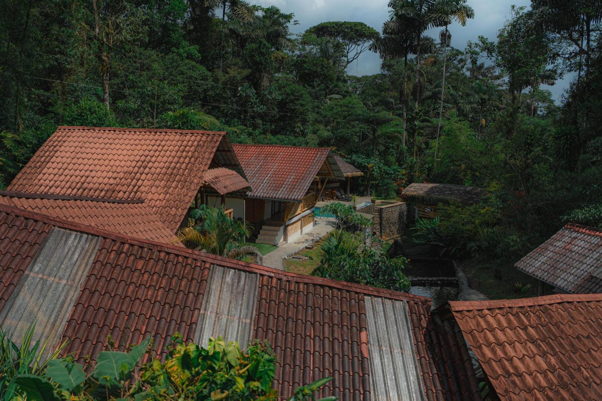 Finca Las Palmas Ecolodge Puyo Exterior foto