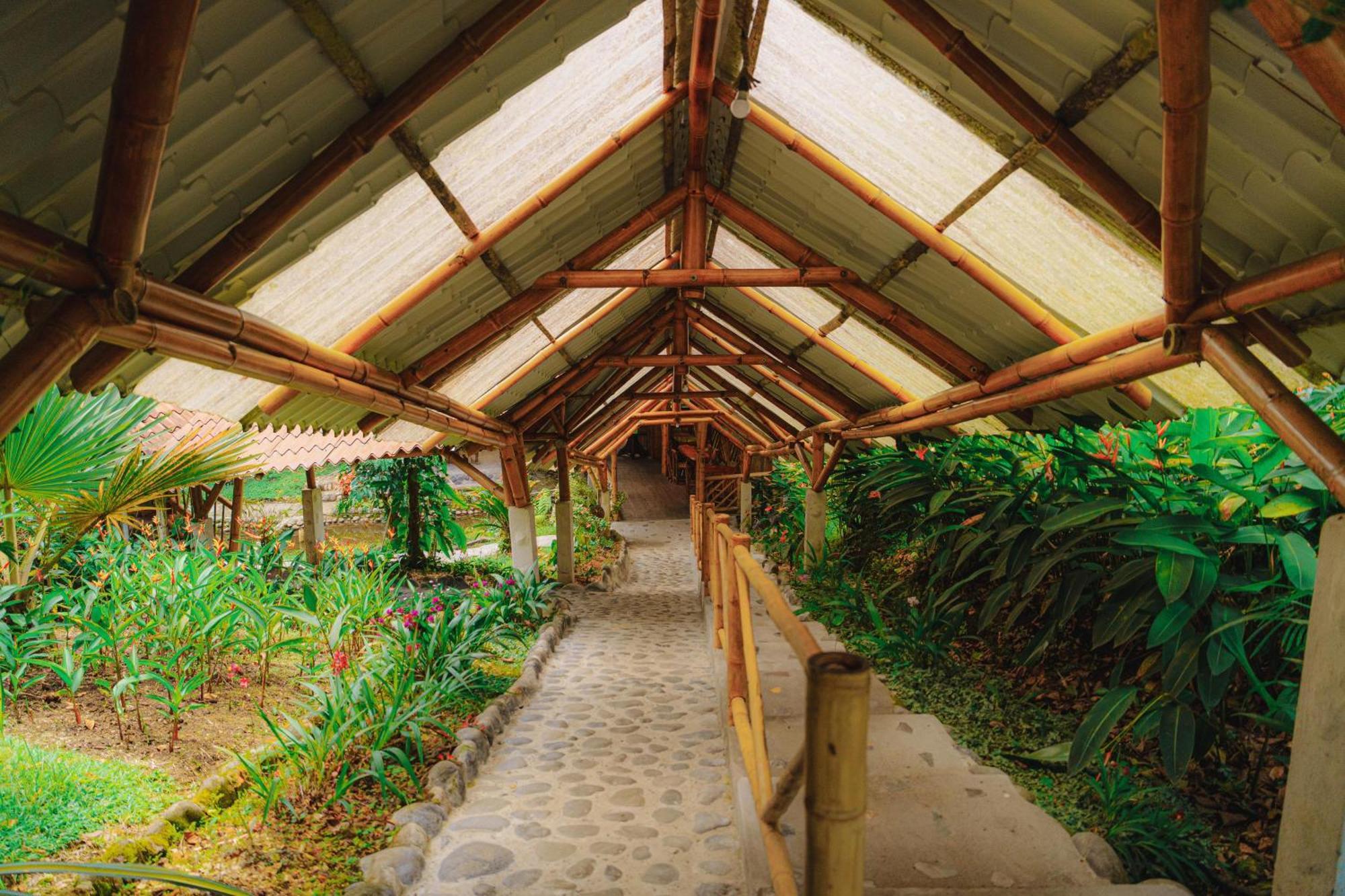 Finca Las Palmas Ecolodge Puyo Exterior foto