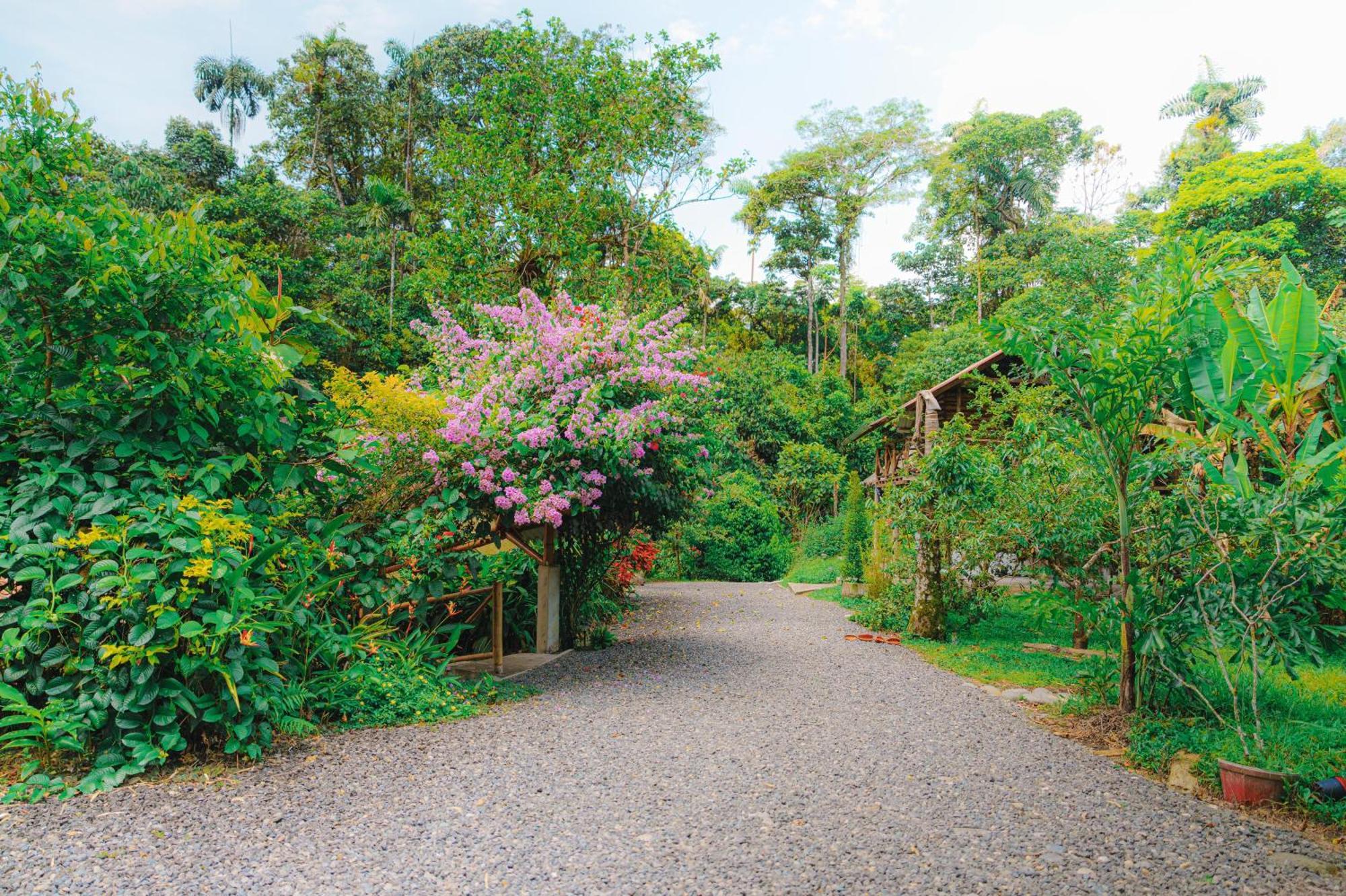 Finca Las Palmas Ecolodge Puyo Exterior foto